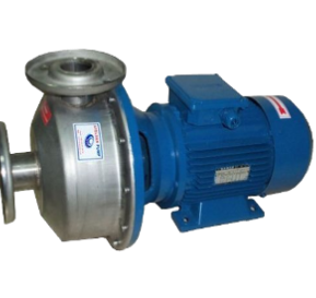 AYELSAN Stainless Steel Pumps